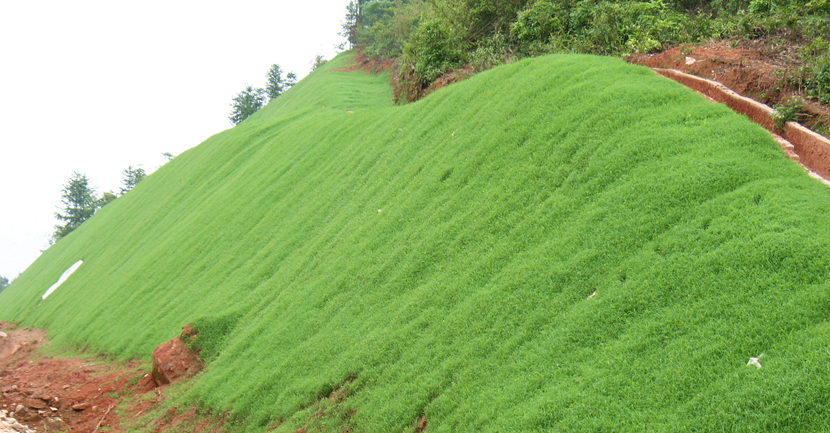 江西·鹰潭至瑞金高速公路建设项目绿化景观工程